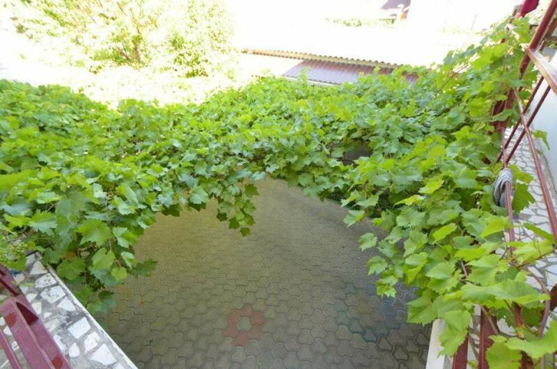 Изображение Изображение гостиницы "Гостевой дом «Амелия»" #8 #8