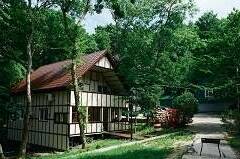 Изображение Изображение отеля / гостиницы "База отдыха «Дельфин»" #10 #8