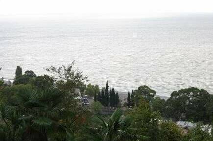 Изображение Изображение гостиницы &quot;Гостевой дом в центре Гагры&quot; #7 #7