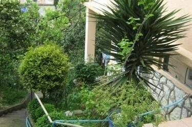 Изображение Изображение отеля / гостиницы "Гостевой дом в центре Гагры" #11 #9