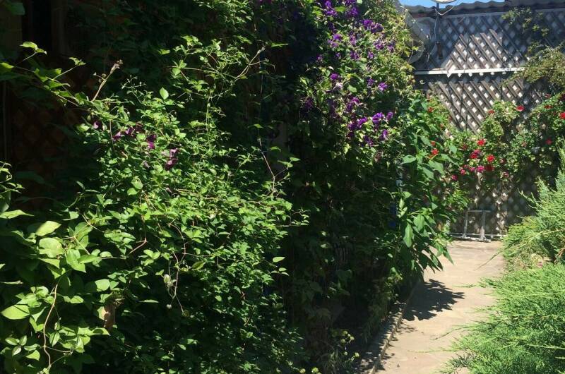 Изображение Изображение гостиницы "Частный дом на Новоселов" #6 #6