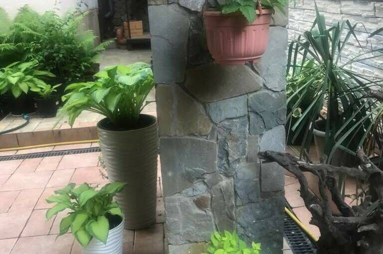 Изображение Изображение гостиницы &quot;Гостевой дом «Итальянский Дворик»&quot; #2 #2