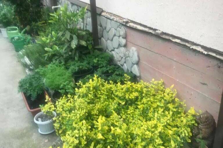 Изображение Изображение гостиницы &quot;Гостевой дом «Итальянский Дворик»&quot; #3 #3