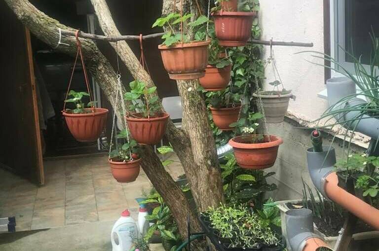 Изображение Изображение гостиницы &quot;Гостевой дом «Итальянский Дворик»&quot; #5 #5