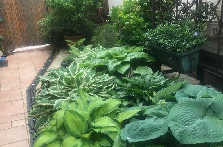 Изображение Изображение гостиницы &quot;Гостевой дом «Итальянский Дворик»&quot; #6 #6