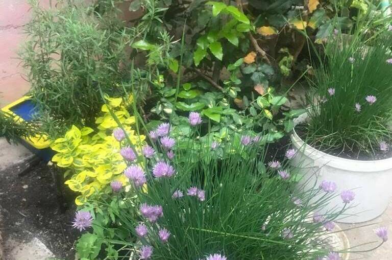 Изображение Изображение отеля / гостиницы "Гостевой дом «Итальянский Дворик»" #10 #8