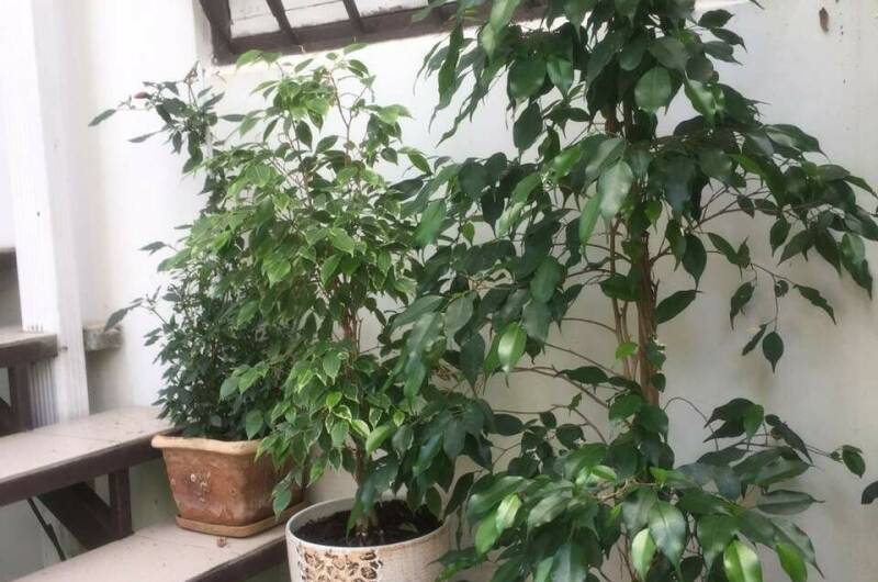 Изображение Изображение отеля / гостиницы "Гостевой дом «Итальянский Дворик»" #11 #9