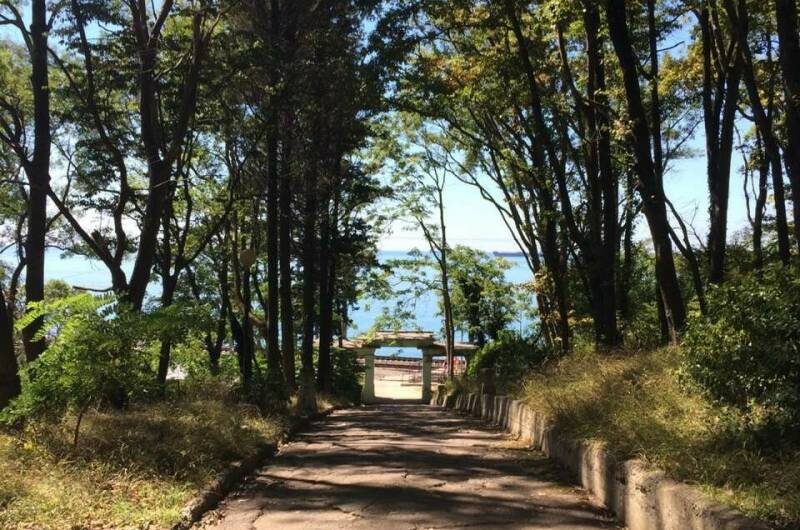 Изображение Изображение гостиницы &quot;Гостевой дом «Галина-Чайка»&quot; #2 #2