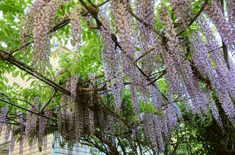 Изображение Изображение гостиницы "Частный дом «Мелодия»" #5 #5