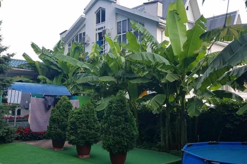 Изображение Изображение гостиницы "Гостевой дом «Сосновый рай»" #3 #3