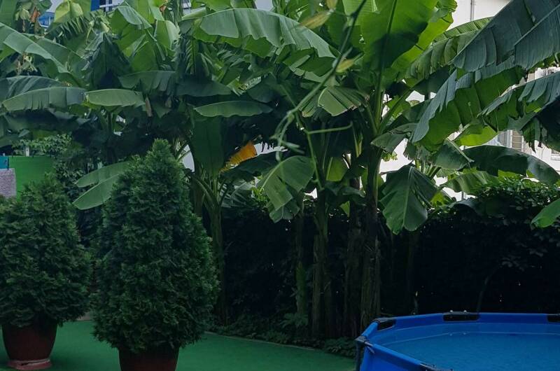 Изображение Изображение гостиницы "Гостевой дом «Сосновый рай»" #7 #7