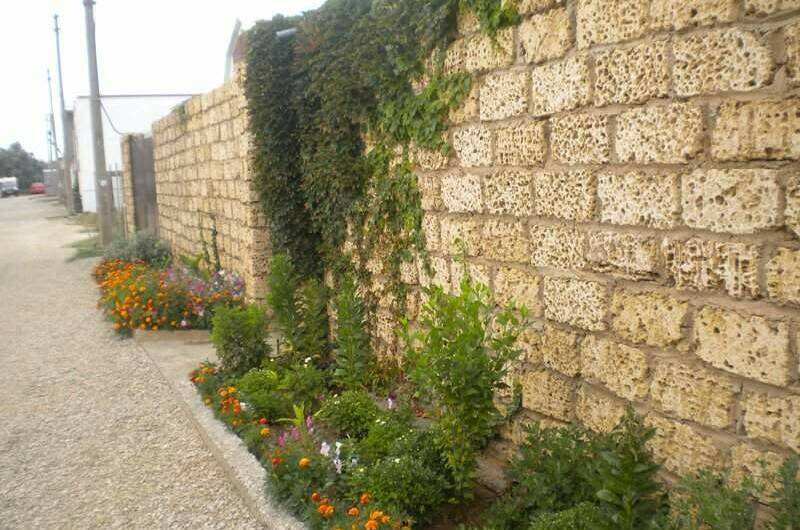 Изображение Изображение отеля / гостиницы "Гостевой дом «Эльвира»" #10 #8