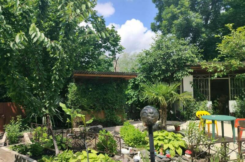 Изображение Изображение гостиницы &quot;Гостевой дом «Лукоморье у реки»&quot; #1 #1