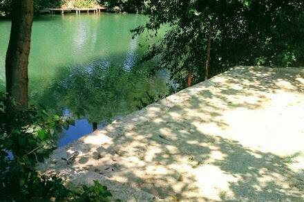 Изображение Изображение гостиницы &quot;Гостевой дом «Лукоморье у реки»&quot; #3 #3