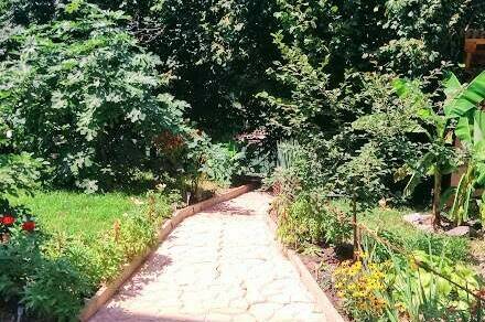 Изображение Изображение гостиницы &quot;Гостевой дом «Лукоморье у реки»&quot; #4 #4