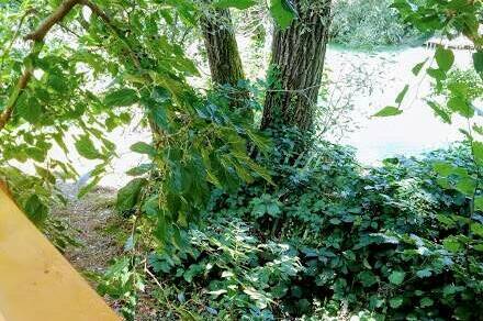 Изображение Изображение отеля / гостиницы "Гостевой дом «Лукоморье у реки»" #10 #8