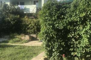 Изображение Частный двор на пер. Михайловский #4