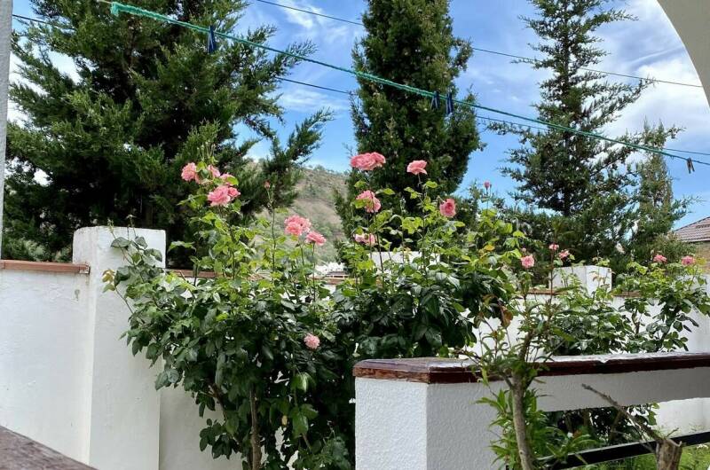 Изображение Изображение отеля / гостиницы "База отдыха «Роза Пикуба»" #7 #7