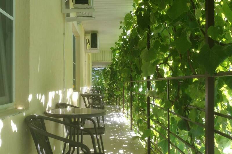 Изображение Изображение гостиницы "Гостевой дом «На Полевой»" #1 #1