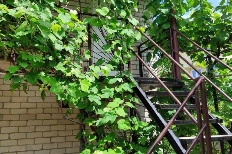 Изображение Изображение гостиницы "Гостевой дом «На Полевой»" #3 #3