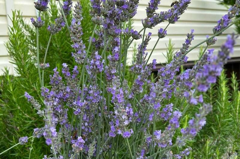 Изображение Изображение гостиницы &quot;Гостевой дом «СанМарин»&quot; #2 #2