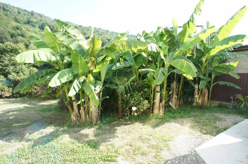 Изображение Изображение гостиницы &quot;Гостевой дом «СанМарин»&quot; #3 #3