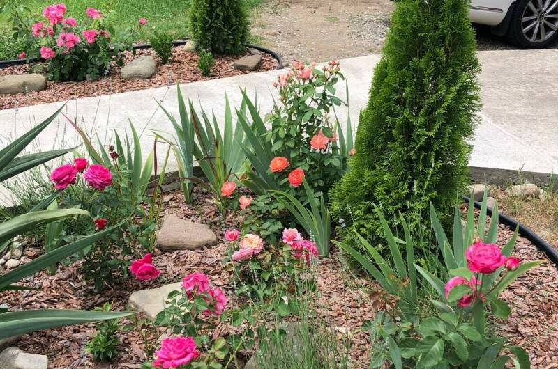 Изображение Изображение отеля / гостиницы "Гостевой дом «СанМарин»" #11 #9