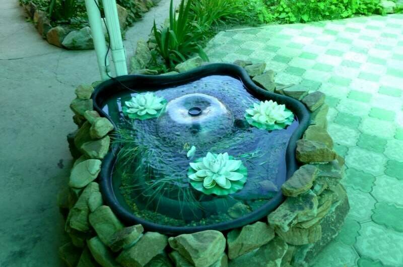 Изображение Изображение гостиницы &quot;Мини-гостиница «Арго»&quot; #6 #6