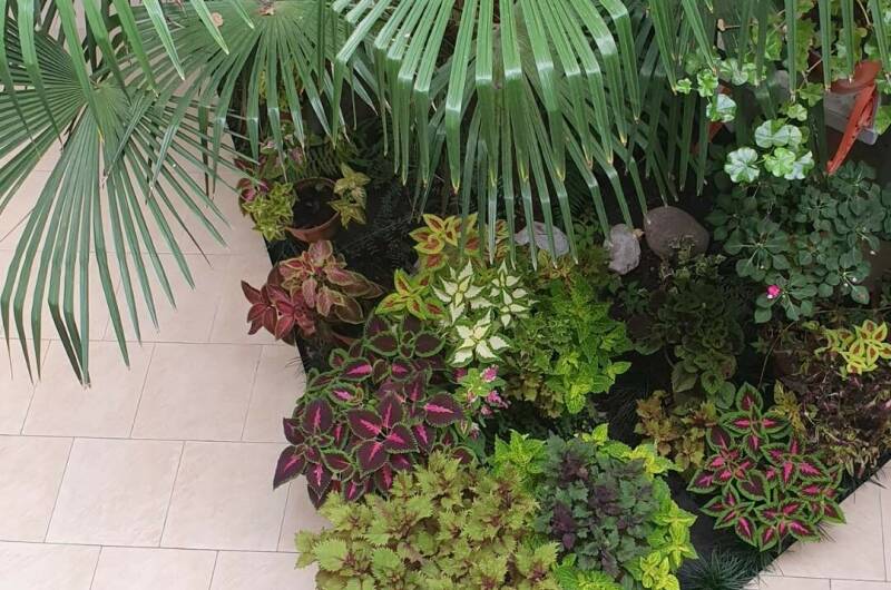 Изображение Изображение гостиницы &quot;Гостевой дом «У Ирины на Калараш»&quot; #2 #2