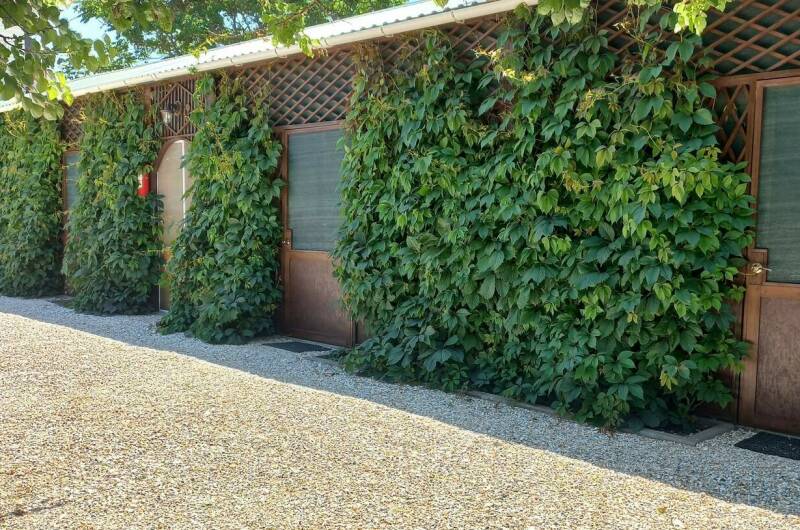 Изображение Изображение гостиницы "Частный сектор «Комфортный отдых»" #1 #1