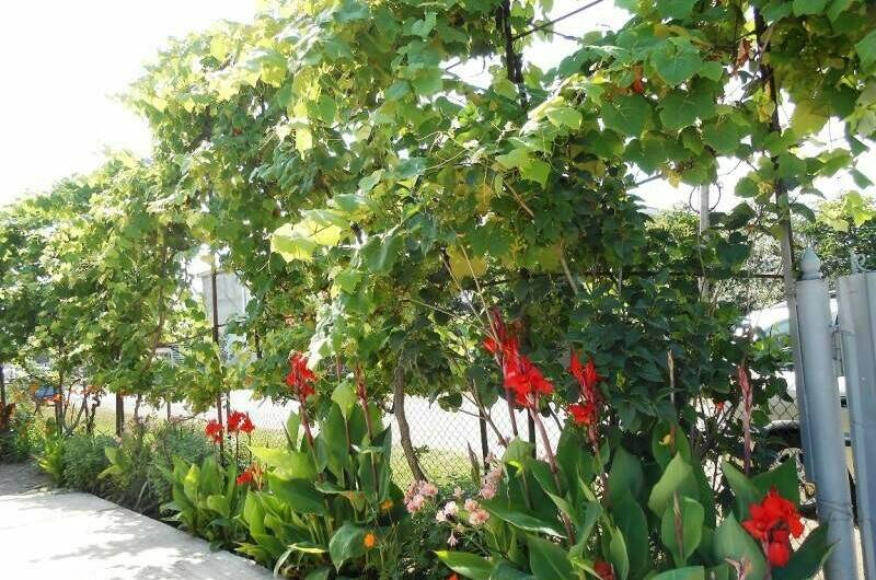 Изображение Изображение гостиницы &quot;Частный сектор «У Ануш»&quot; #4 #4