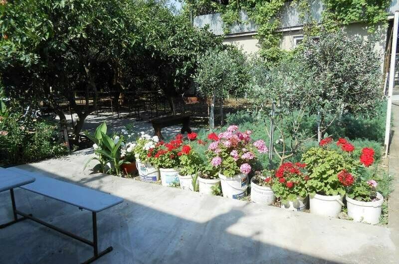 Изображение Изображение гостиницы &quot;Частный сектор «У Ануш»&quot; #6 #6