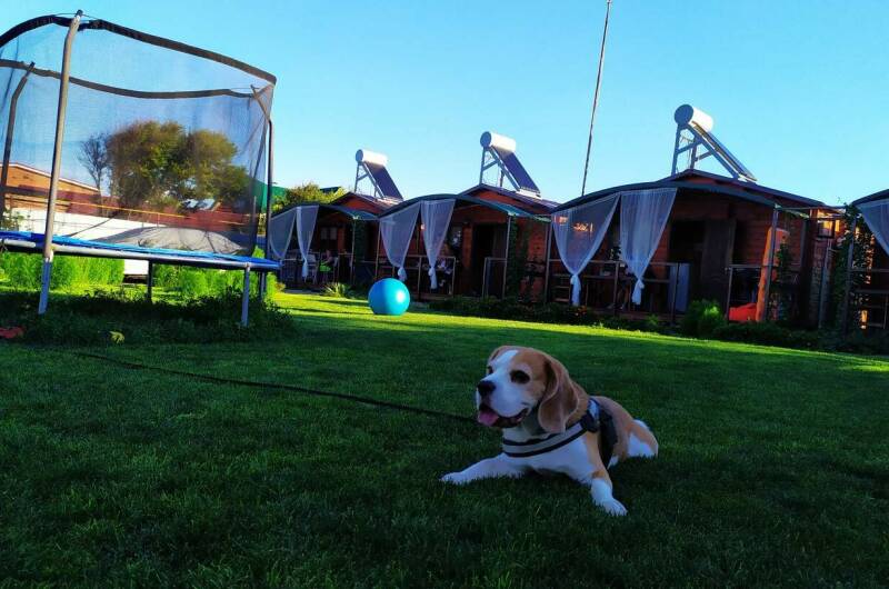 Изображение Изображение гостиницы &quot;Деревянные домики&quot; #8 #8