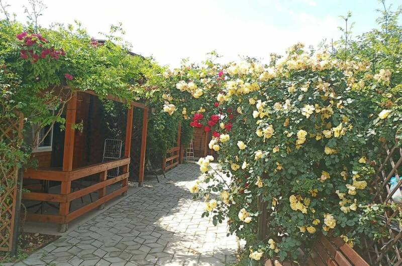 Изображение Изображение гостиницы "Деревянные Коттеджи на Лазурном" #5 #5