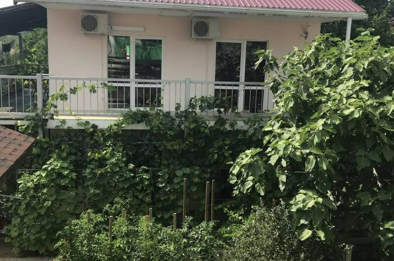 Изображение Изображение гостиницы "Гостевой дом «Mila»" #1 #1