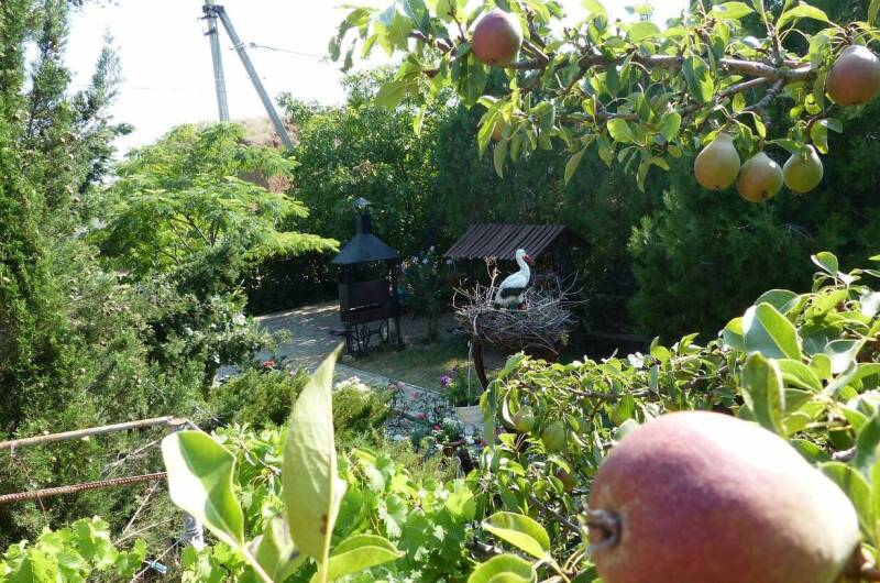 Изображение Изображение гостиницы &quot;Мини-гостиница «Море Удачи»&quot; #6 #6