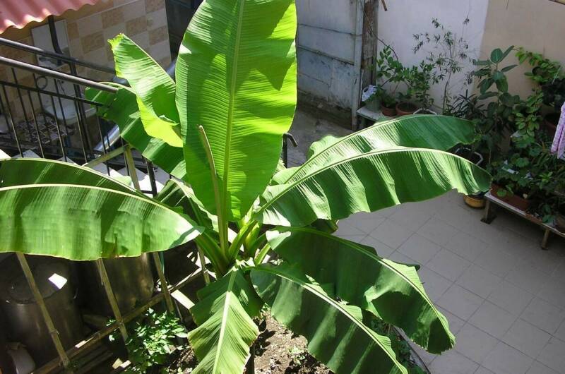 Изображение Изображение гостиницы "Гостевой дом на Толстого 32 А" #3 #3