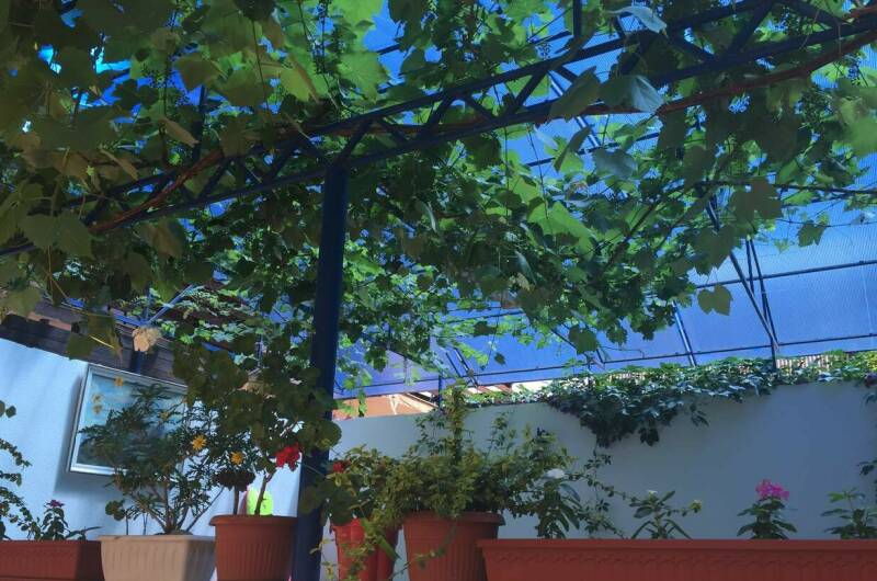 Изображение Изображение гостиницы "Гостевой дом «На Комарова 17»" #5 #5