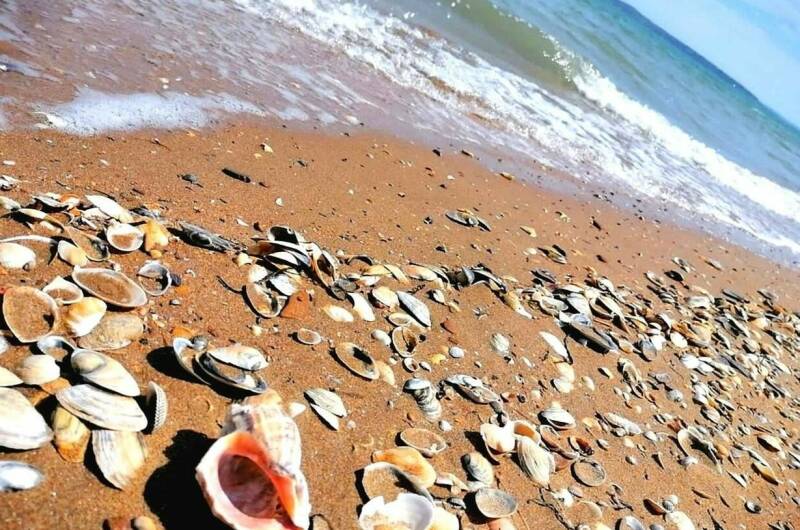 Изображение Изображение гостиницы &quot;Гостиница «Эллада»&quot; #3 #3