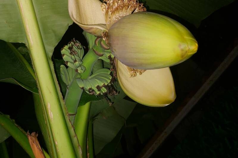 Изображение Изображение гостиницы &quot;Гостевой дом «Прайд»&quot; #4 #4