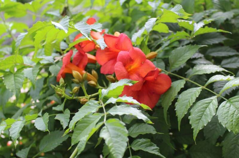 Изображение Изображение гостиницы &quot;Гостевой дом «У Реки»&quot; #4 #4