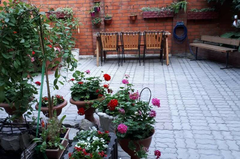 Изображение Изображение гостиницы "Частный дом «Южный»" #3 #3