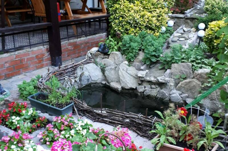 Изображение Изображение гостиницы "Частный дом «Южный»" #7 #7