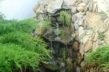 Изображение Изображение гостиницы &quot;Частный дом «Солнышко»&quot; #5 #5