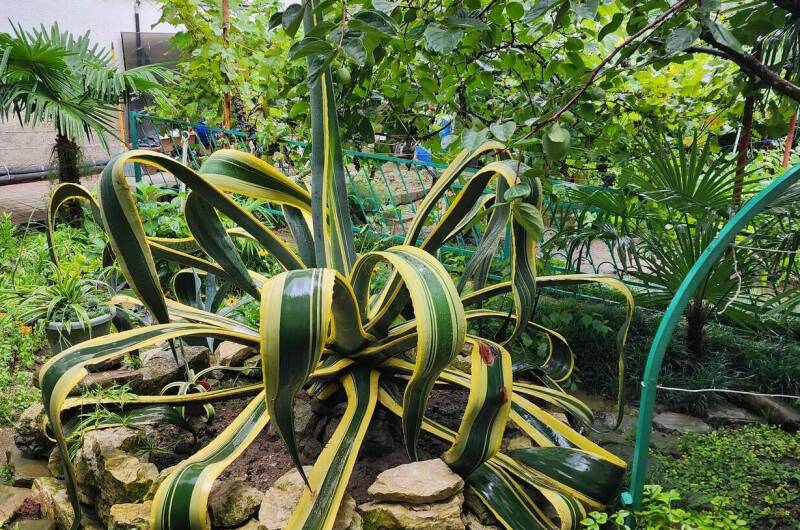 Изображение Изображение гостиницы "Гостевой дом «Бэлла»" #7 #7