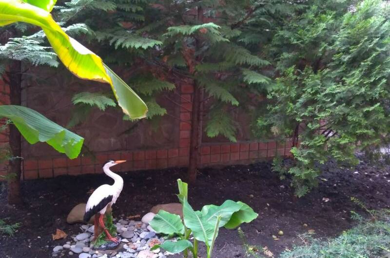 Изображение Изображение гостиницы &quot;Гостевой дом «Alina»&quot; #7 #7