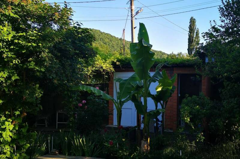 Изображение Изображение гостиницы "Гостевой дом «Вероника»" #7 #7