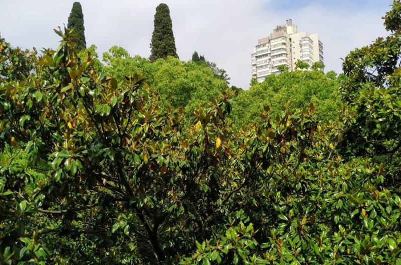 Изображение Изображение квартиры / апартамента "Двухкомнатная квартира на Победы 77" #10 #8