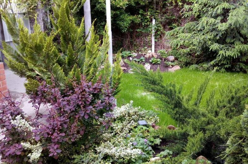 Изображение Изображение гостиницы "Гостевой дом «Елизавета»" #2 #2