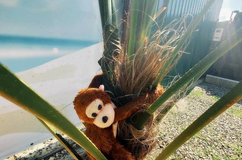 Изображение Изображение гостиницы "Гостевой дом «Колибри»" #3 #3